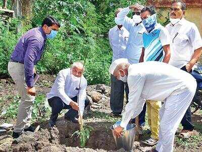 Despite pandemic obstacle,  Ranmala village in Pune plants 600 trees via unique drive