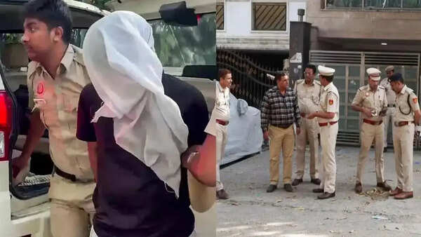 ‘Mujhse apraadh ho gaya, ma’am’: What man accused in south Delhi rape-murder case told court