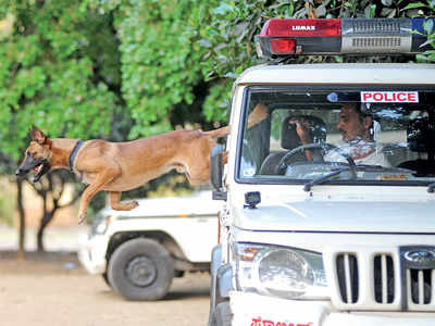 Agent Rana will keep Bengaluru safe