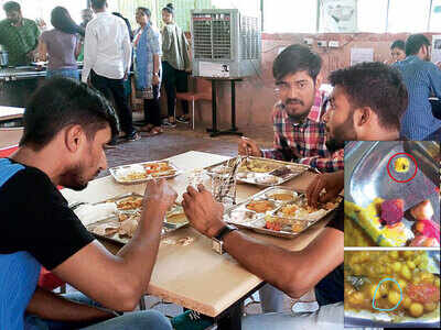 GOT guts to eat bugs? Ask fed-up students GOT guts to eat bugs? Ask fed-up students