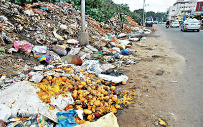 Footpaths, empty plots, they all just go to waste