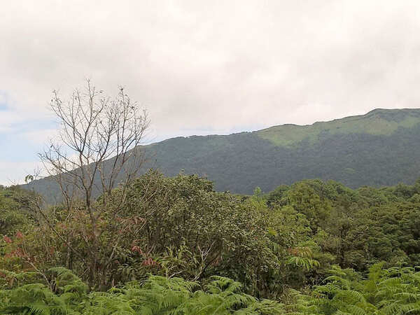 India unlikely to meet reforestation targets it committed to in 2015, says expert