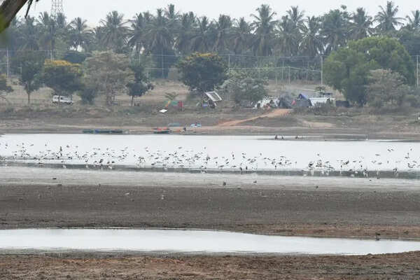Varuna Lake development sparks debate