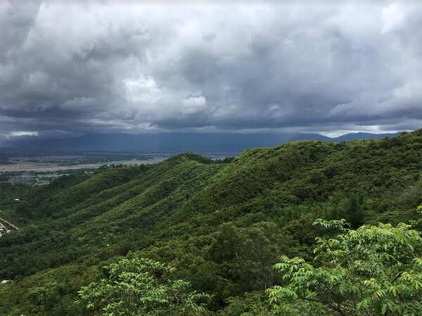 Manipur: How one man planted a 300-acre forest near Imphal