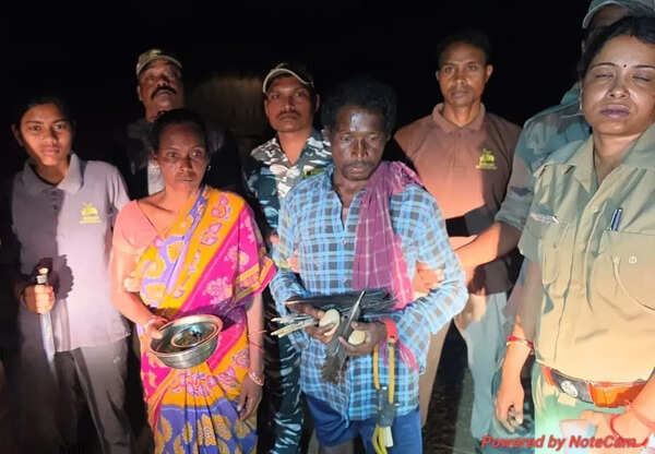 Couple cooking peahen meat nabbed in Debrigarh forest