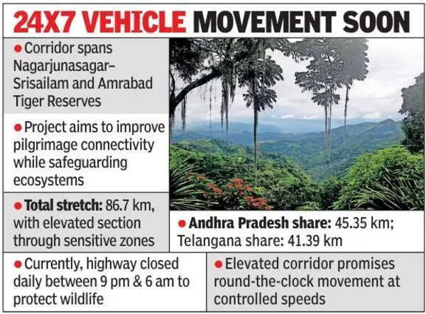 Centre plans Rs 18,500 cr elevated corridor through Nallamala forest