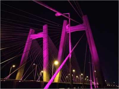 Here's why Bandra Worli Sea Link will be lit in purple for three days
