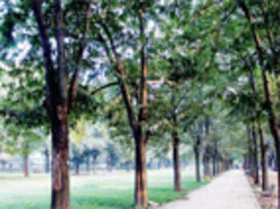 Cubbon Park off limits for commercial events