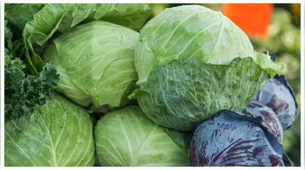 Cabbage