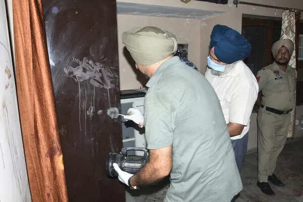 Childhood friend booked for murder of MBBS student in Patiala