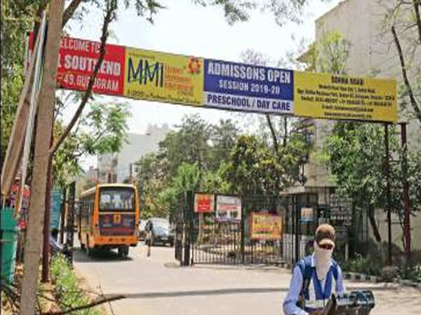 Gurugram: 10 stray dogs beaten, taken away in sacks