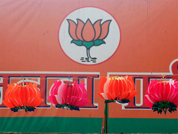 A year to 2019 polls, BJP plans advertisements on promises kept