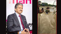 Tractor passes through waterlogged underpass, impresses Anand Mahindra 