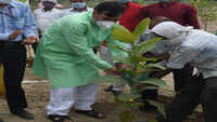 Delhi: Gopal Rai inaugurates 17-day Mega plantation drive 