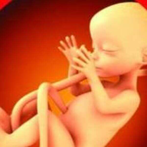 'Beti Bachao' should start with this techie