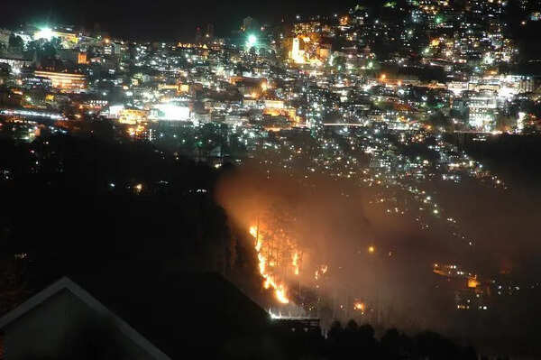 HP govt issues toll-free number to report forest fires