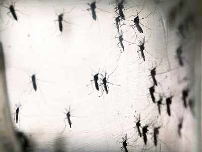 Malaria to be eliminated from 15 states by 2020: Official