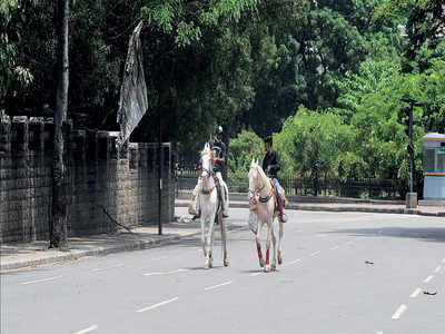Bengaluru’s lockdown diary: A Horse ride, Open shower