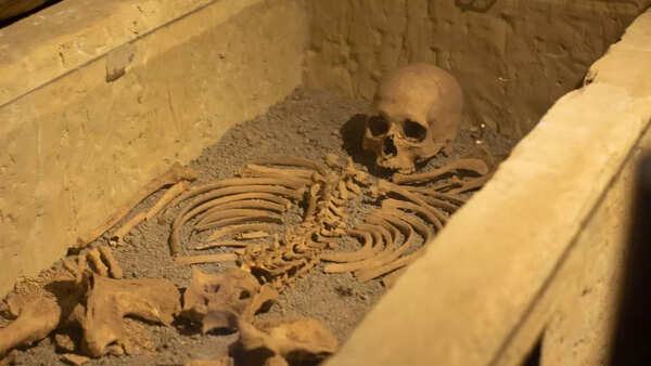 The coffin that fell from the sky: The 1,900-year-old mystery of the 'Princess of Bagicz'