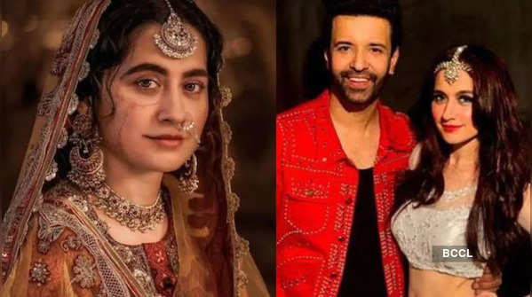 From net worth to shocking separation with ex-husband Aamir Ali: Lesser known facts about Heeramandi’s Sanjeeda Shaikh