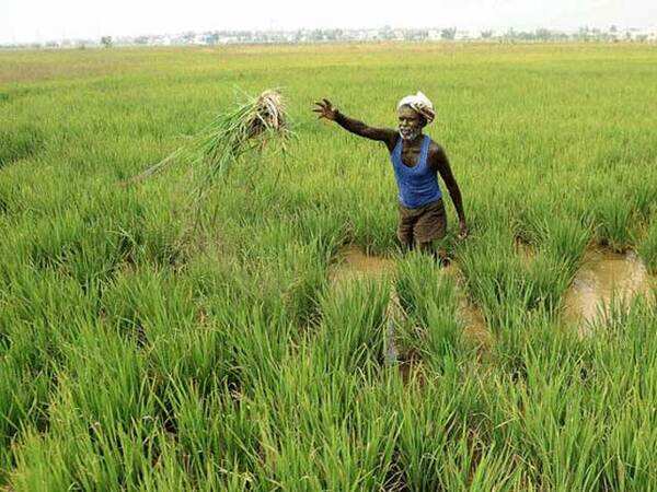 Farm loan delivery slows amid waivers and anticipation of it