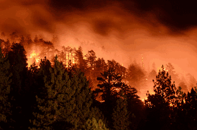 Forest fires rage across Uttarakhand, 6 die since February