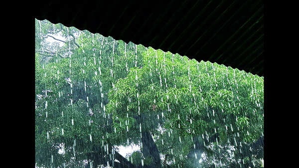 Highest single-day rainfall of season, yellow alert for today