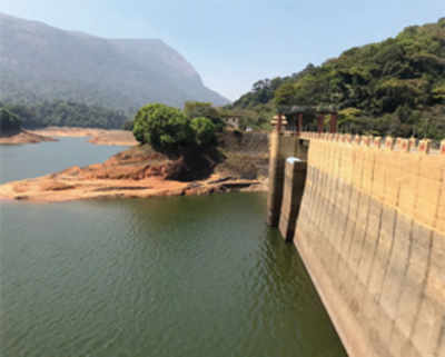 12 sq km forests to drown for BMC’s new dams