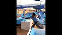 Calangute shack fined Rs 50k for tourists&rsquo; assault