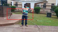On cam: 6-ft-long rat snake rescued in Odisha 