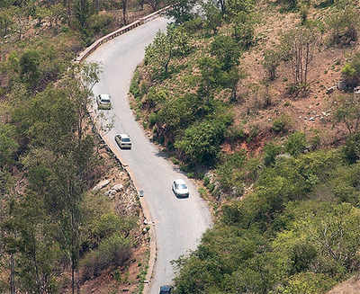 Blood on the Nandi Hills