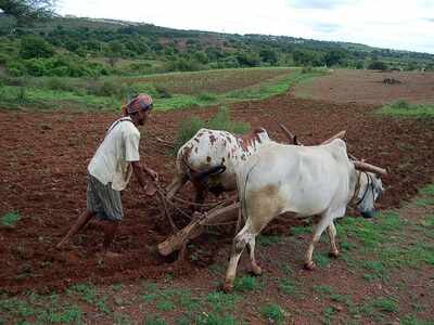 Uddhav Thackeray-led government loan waiver for farmers to cost Rs 40,000 crore Uddhav Thackeray-led government loan waiver for farmers to cost Rs 40,000 crore