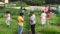 Nagpur: Citizens use tree guards in memory of Galwan valley martyrs 