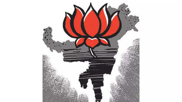 Talking more about the Pope, less about Ram, helped BJP