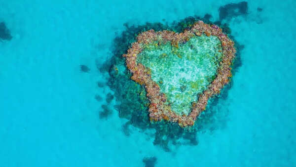 Valentine's Week Special: Famous heart-shaped destinations that are nature's marvels