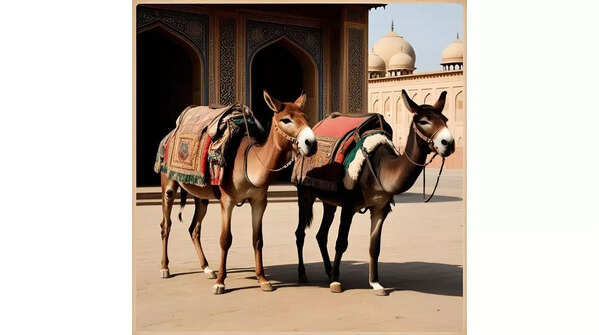 Mules