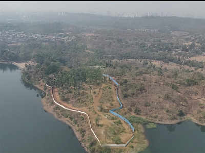 A plot on Vihar Lake