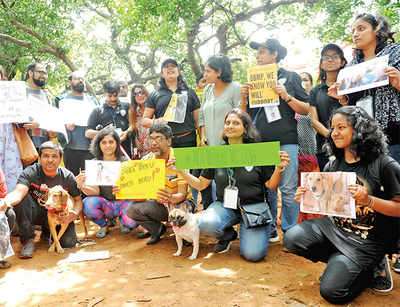Bruhat Bengaluru Mahanagara Palike seeks legal opinion on its new policy on pets