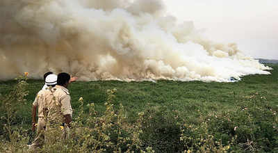 NGT breathes fire, singes BBMP over Bellandur Lake
