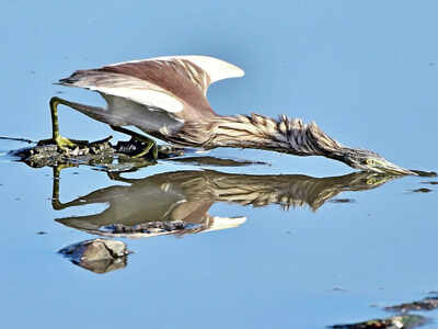 Story Behind The Photo: Mirror effect