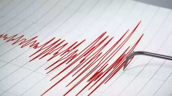 4.5 magnitude earthquake jolts Maharashtra's Hingoli; no casualties
