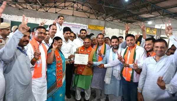 BJP sweeps Haryana civic polls, wins 6 of 7 key posts