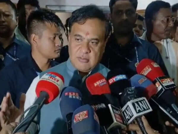 NDA 3.0 tenure to turn plans into projects: Sarma