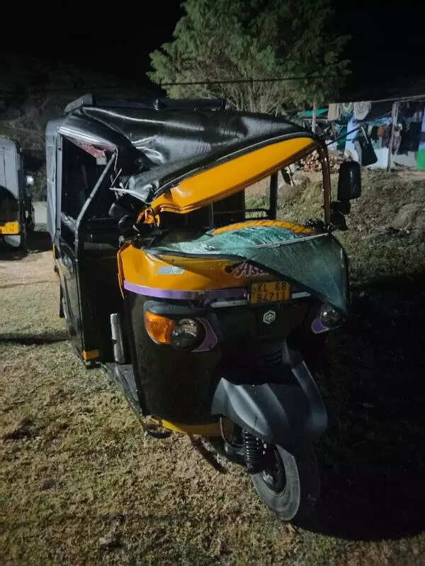 Padayappa wrecks rickshaw