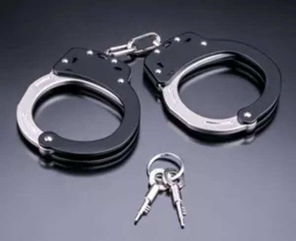 1 Pakistani, 2 Nepali nationals held after car enters India 'for repair' at Indo-Nepal border in Bengal