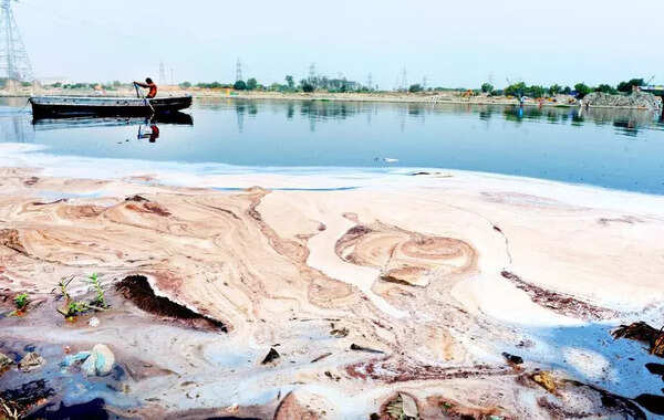 Ammonia spike in Yamuna lowers output at 5 water treatment plants in Delhi