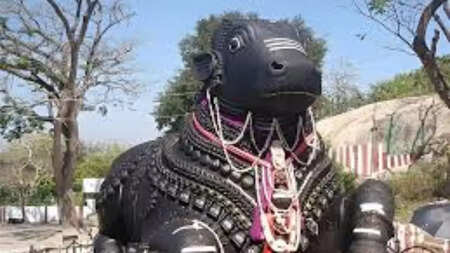 Karthika Deepotsava to Kadlekai Parshe: Here's what makes Bengaluru's Basavanagudi Big Bull temple a must visit this season