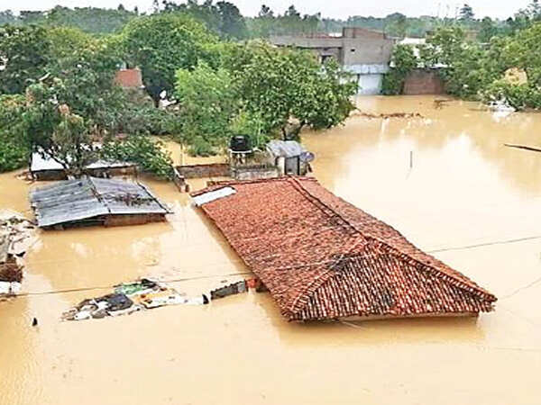 Eight drown in Sheohar, Muzaffarpur; flood situation remains grim in north Bihar