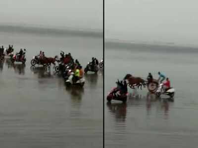 Four held for horse racing at Gorai beach