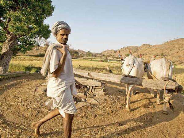 How villages in Jaipur have become water-sufficient by using the simplest water conservation methods